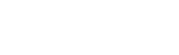 S.I.N.